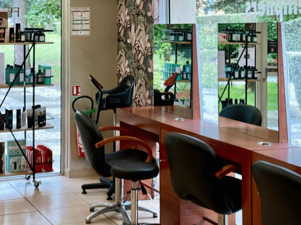 Salon à vendre à Elancourt – Opportunité à saisir