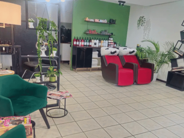 Salon de coiffure à vendre, 37 m², clientèle fidèle, faible loyer de 440 €, activité en progression, idéal pour une première installation.